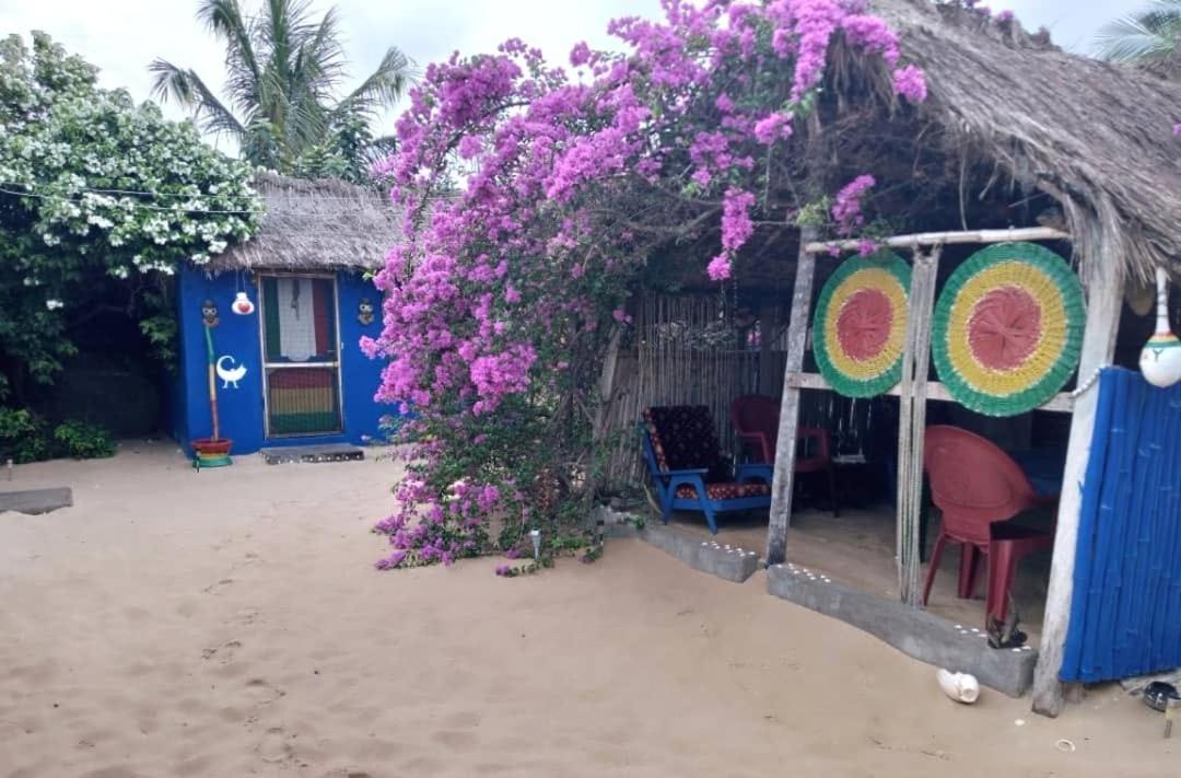 A&Y Wild Camp Ghana Keta Dış mekan fotoğraf