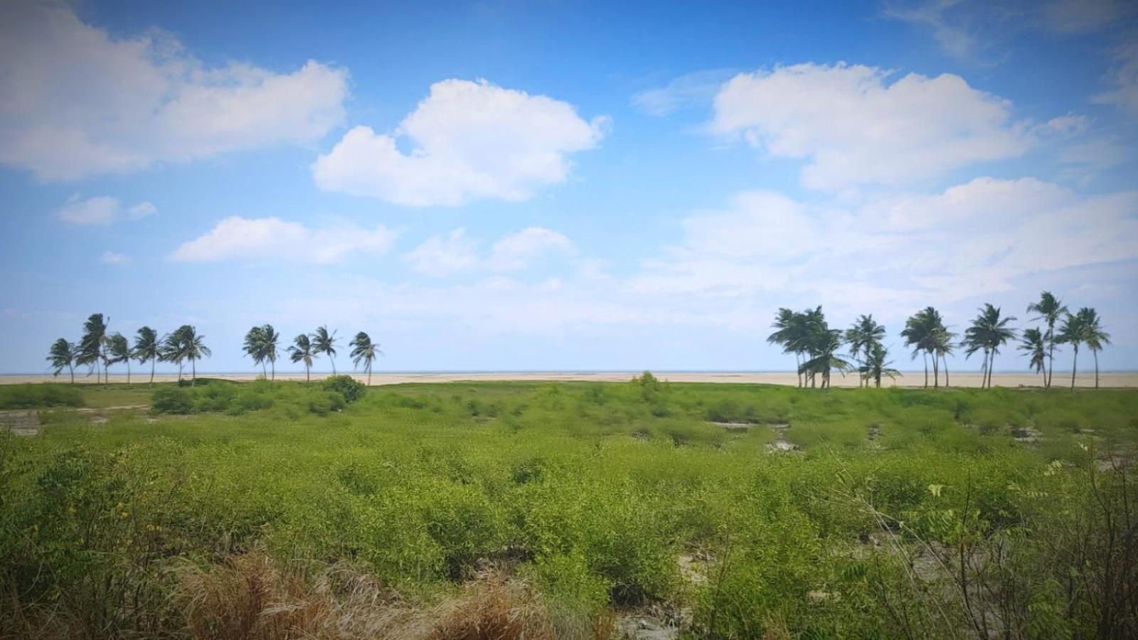 A&Y Wild Camp Ghana Keta Dış mekan fotoğraf