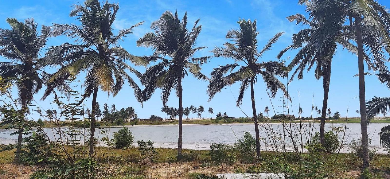 A&Y Wild Camp Ghana Keta Dış mekan fotoğraf