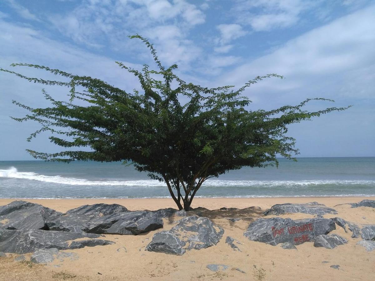 A&Y Wild Camp Ghana Keta Dış mekan fotoğraf